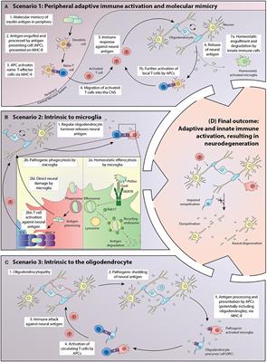 Multiple Sclerosis as a Syndrome—Implications for Future Management